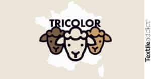 tricolor laine_textileaddict