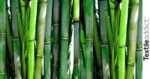 bambou fibre_TextileAddict