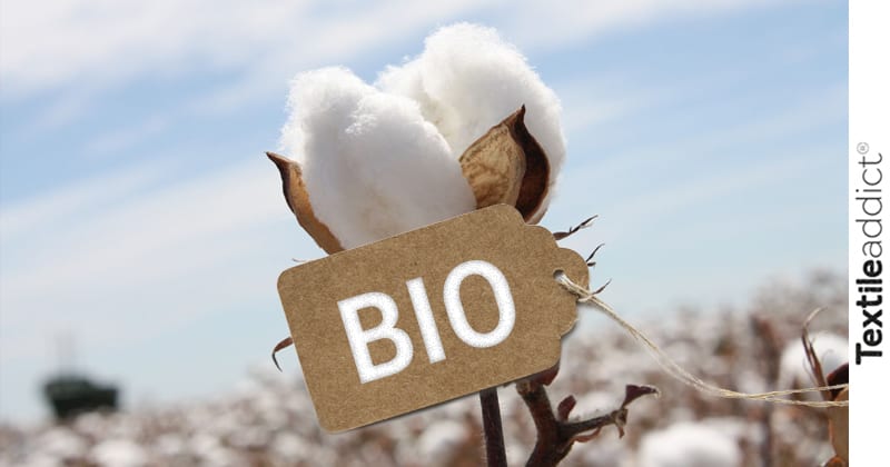 coton biologique fibre_TextileAddict